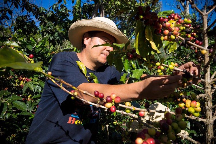 Juan Pablo Kolumbien Farmer & Kaffee Intro