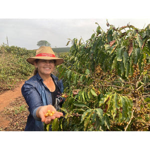 WOMEN IN COFFEE BRAZIL (HONEY or Naturals PROCESS)