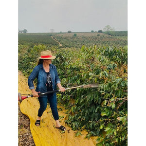 WOMEN IN COFFEE BRAZIL (HONEY or Naturals PROCESS)