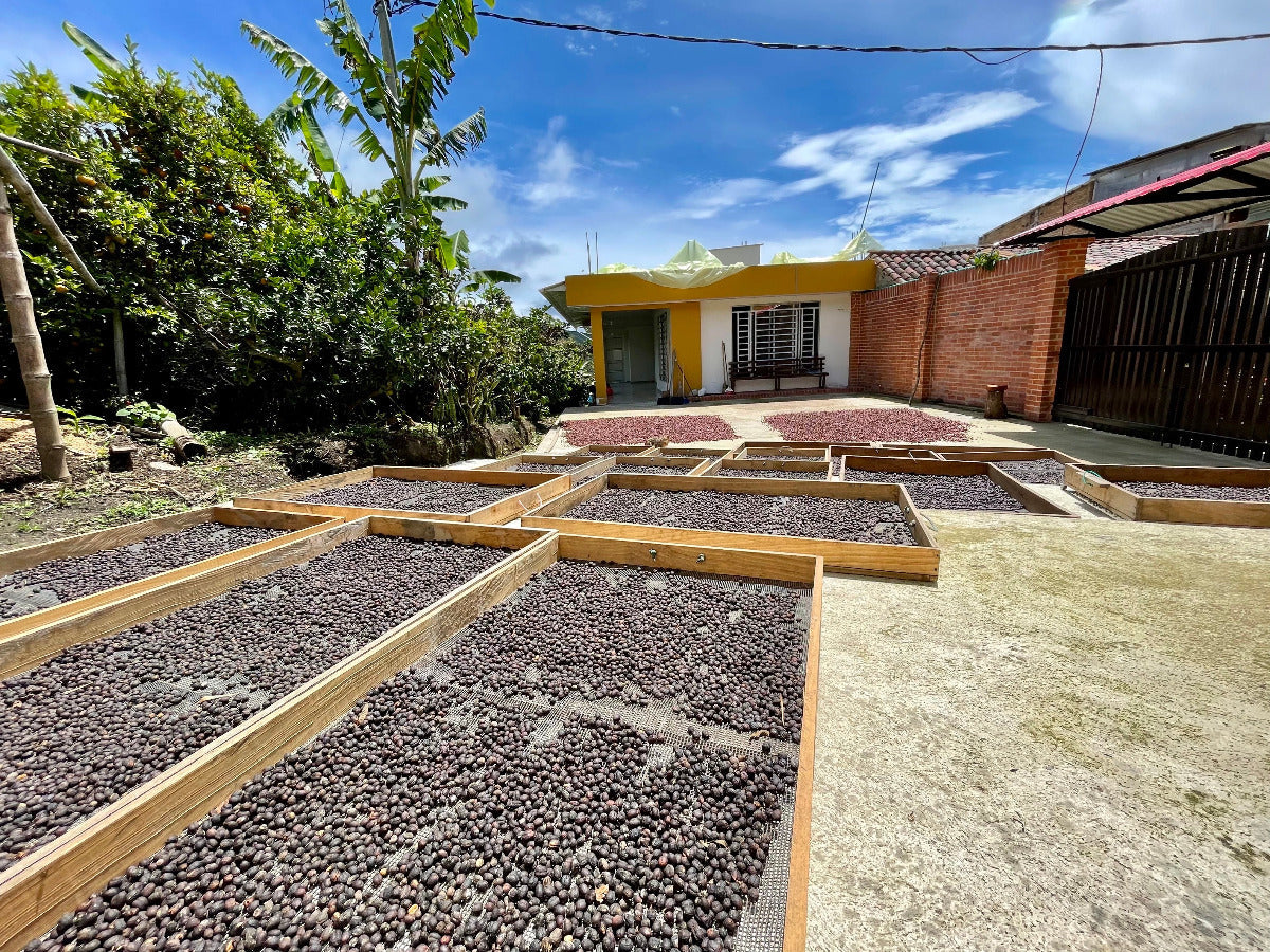 juan-pablo-colombia-specialty-coffee-naturals-and-farmers-school-building